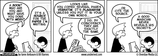 A comic depicting two friends discussing citations and plagiarism.