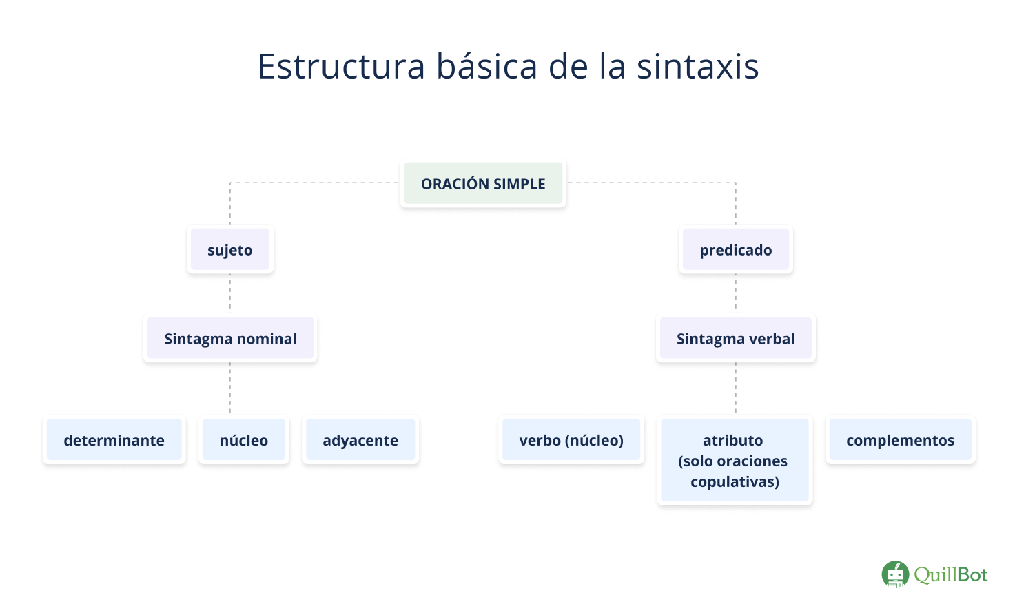 estructura basica de la