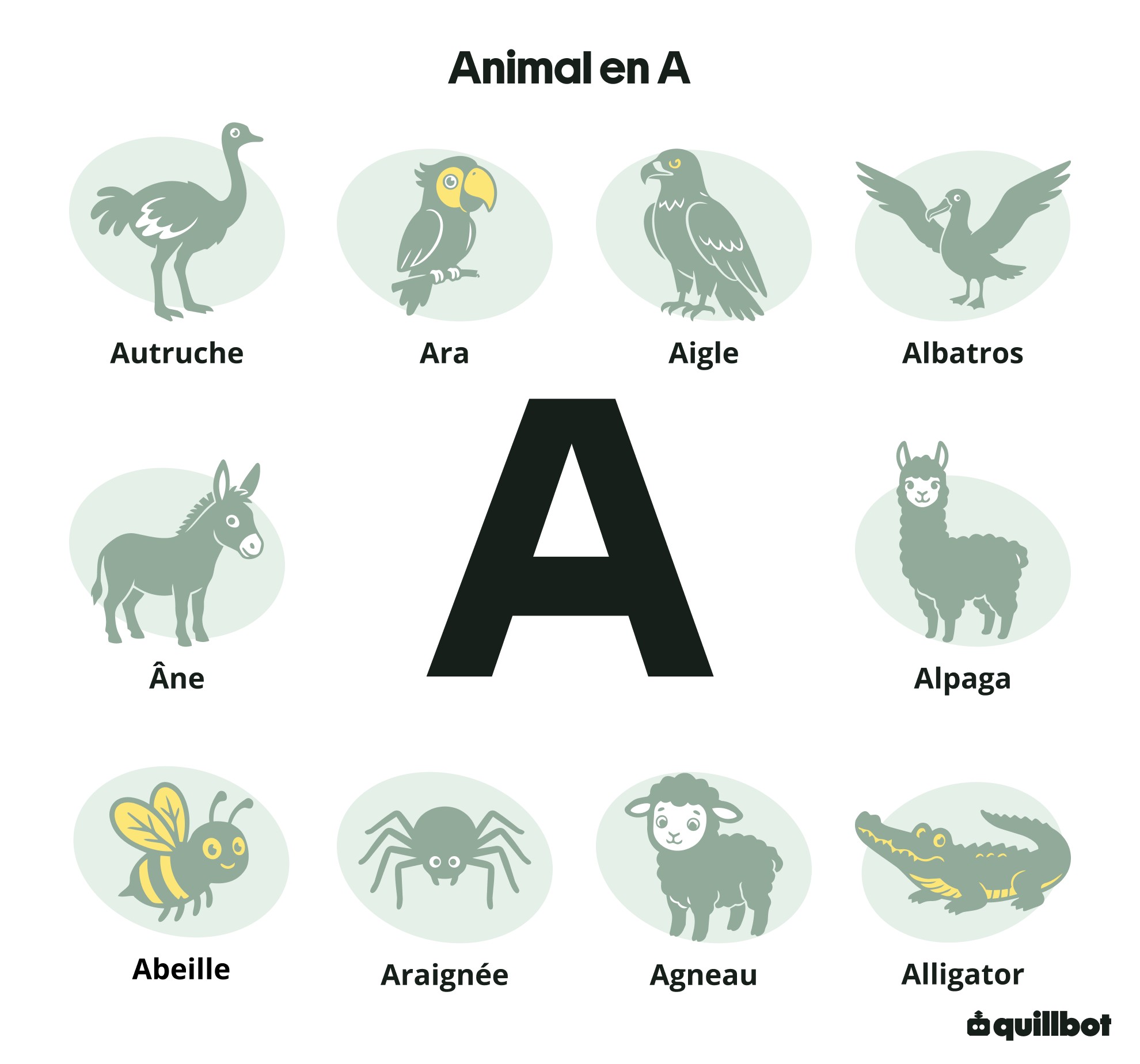 Animal en A