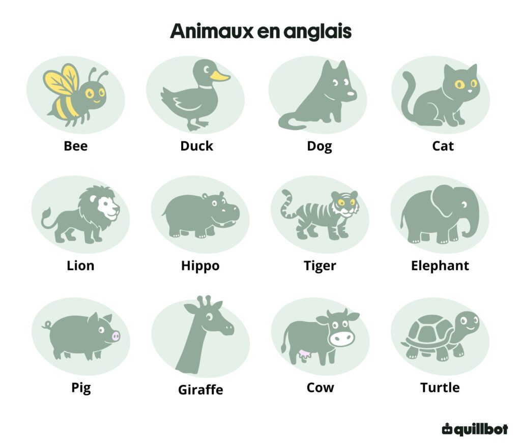 FR Animaux en anglais