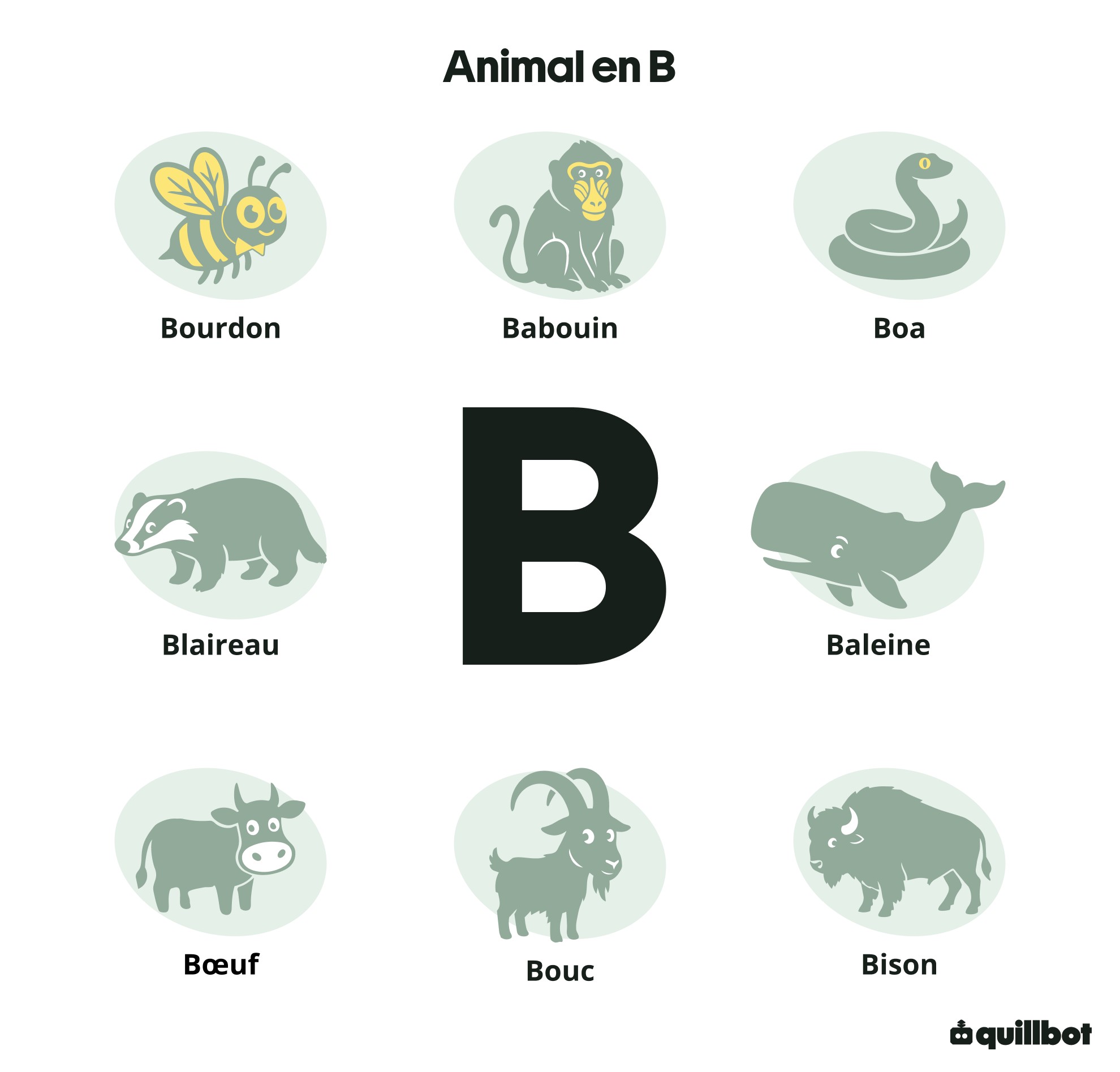 Animal en B