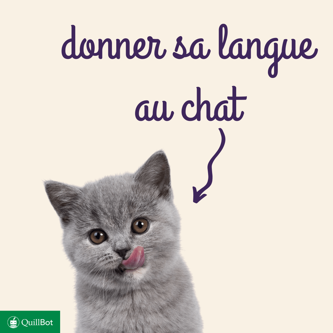 donner sa langue au chat def