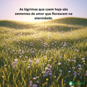 flores-finados