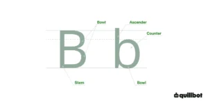 Diagram of capital and lowercase B with the stems, bowls, and ascender labeled