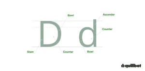 Diagram of capital D and lowercase D with the stems, bowls, counters, and ascender labeled