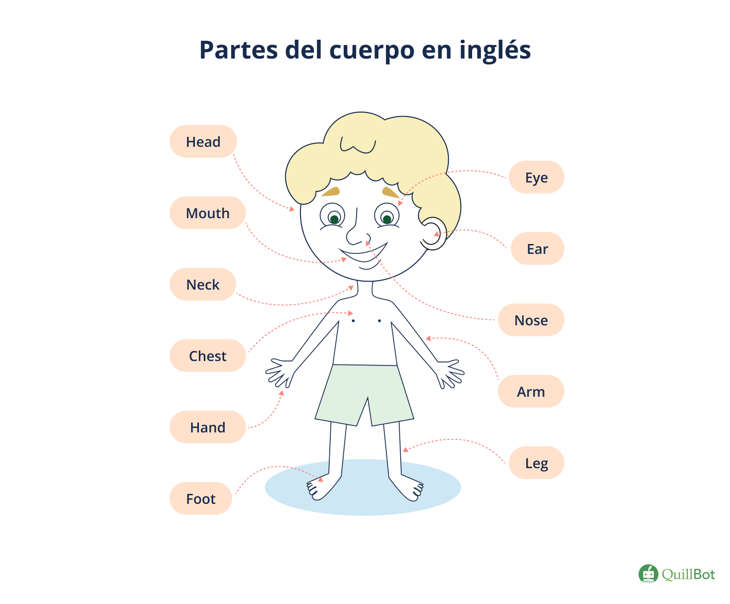 Las Partes Del Cuerpo En Ingles Las Partes Del Cuerpo En Ingles Las Partes Del Cuerpo En Ingles Las Partes Del Cuerpo En Ingles