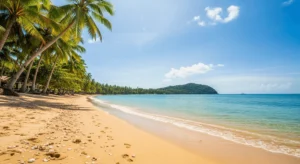 Tropical beach photo