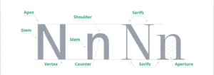 Capital and lowercase N with labels for each part