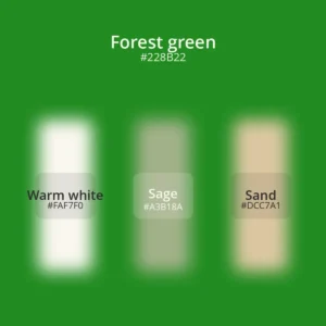 Forest green color palette 3