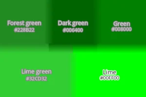 Forest green hex code