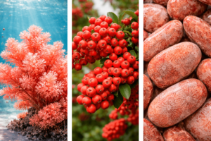 Koralle in der Natur