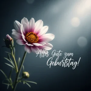 Geburtstag Bild