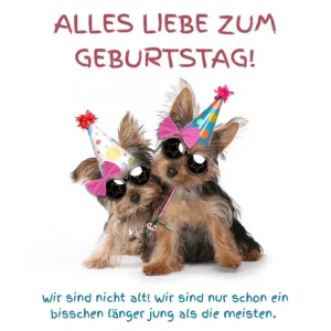 Geburtstag Bild
