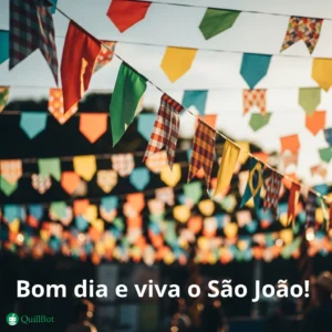 A imagem tem várias bandeirinhas de São João e a frase: Bom dia e viva o São João!