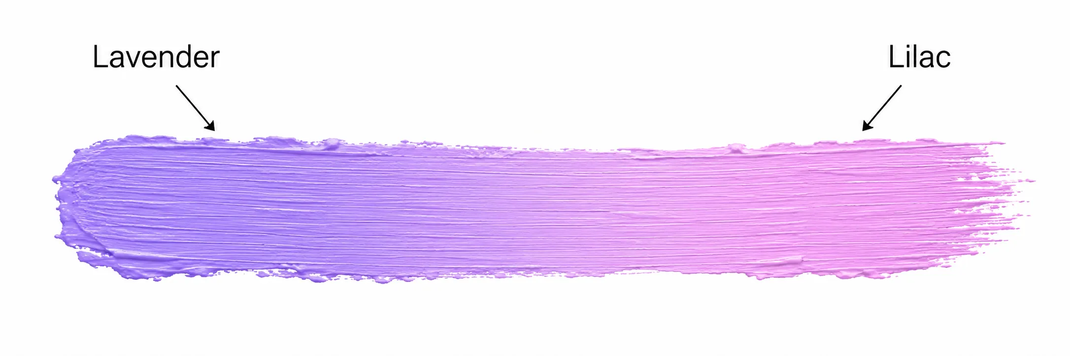 Lavender vs lilac