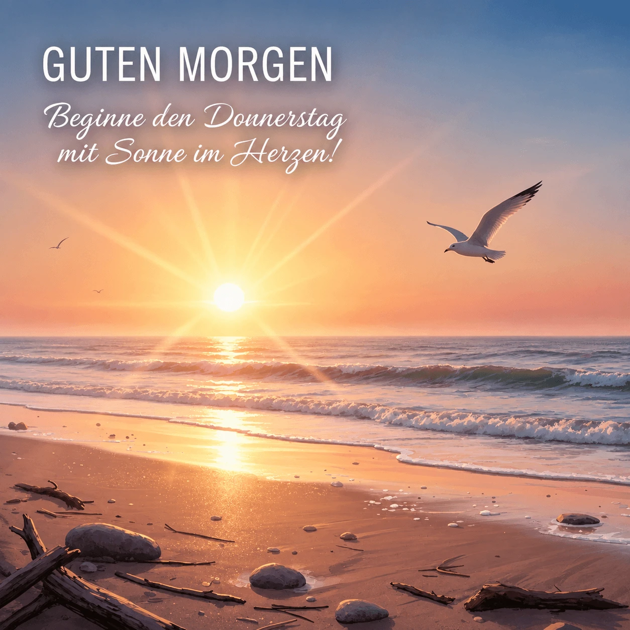 Morgensonne über dem Meer