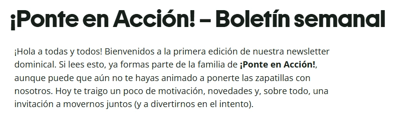 generador de newsletter introduccion
