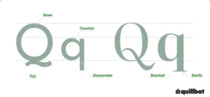 Diagram of the letter Q's bowl, counter, tail, descender, serifs, and brackets