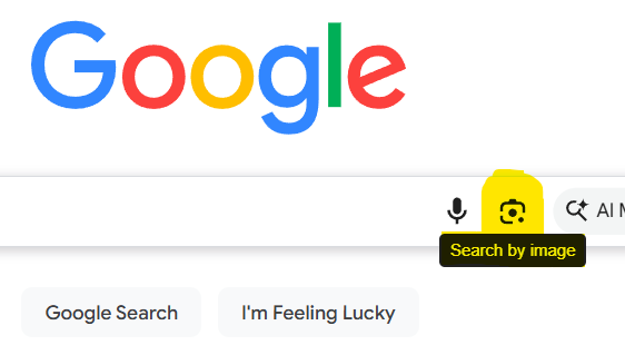 Google Search by image