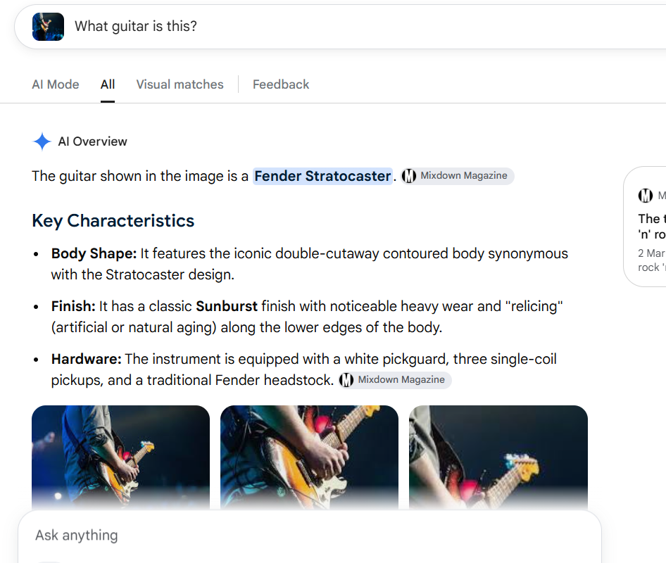 Google reverse image search results page