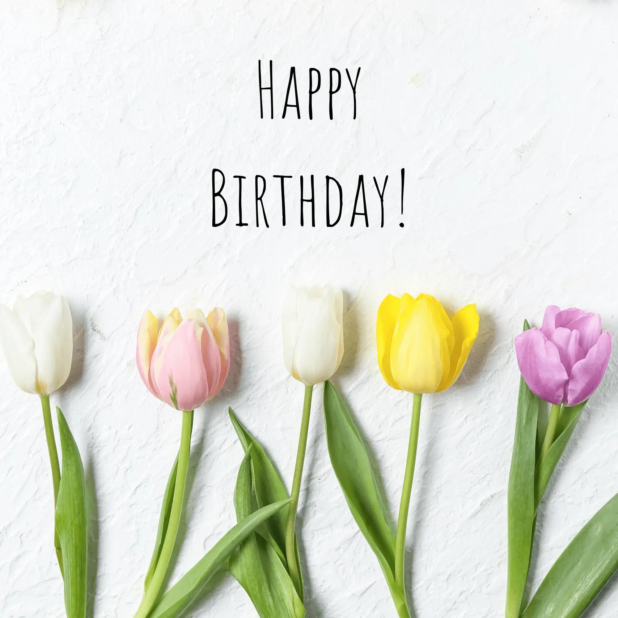 Happy Birthday Bild Blumen