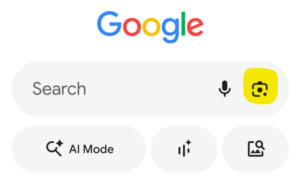 Open Google Lens in the Google app