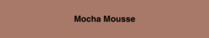 Mocha Mousse