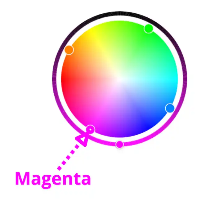 The color magenta on a color wheel