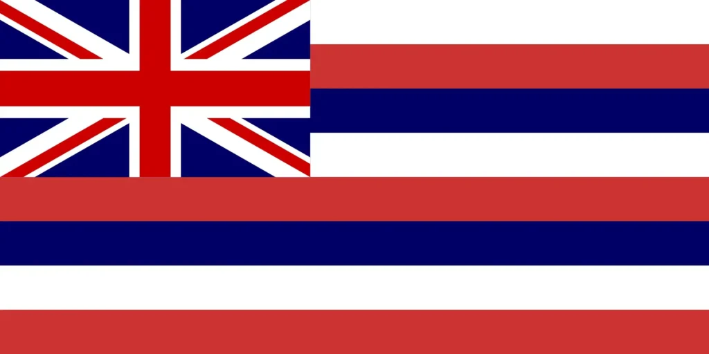 The Hawaiian flag