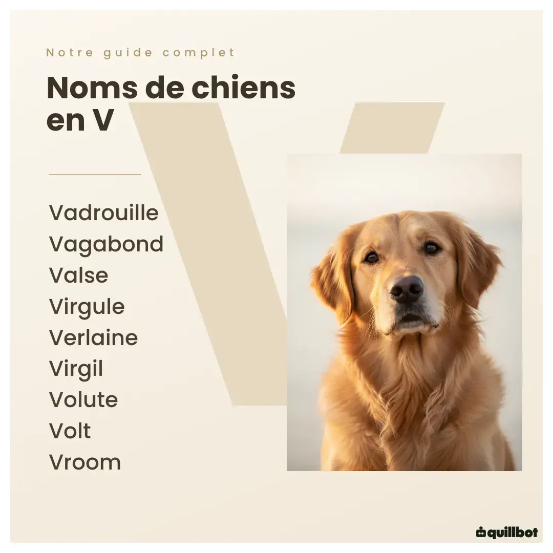 nom de chien en v