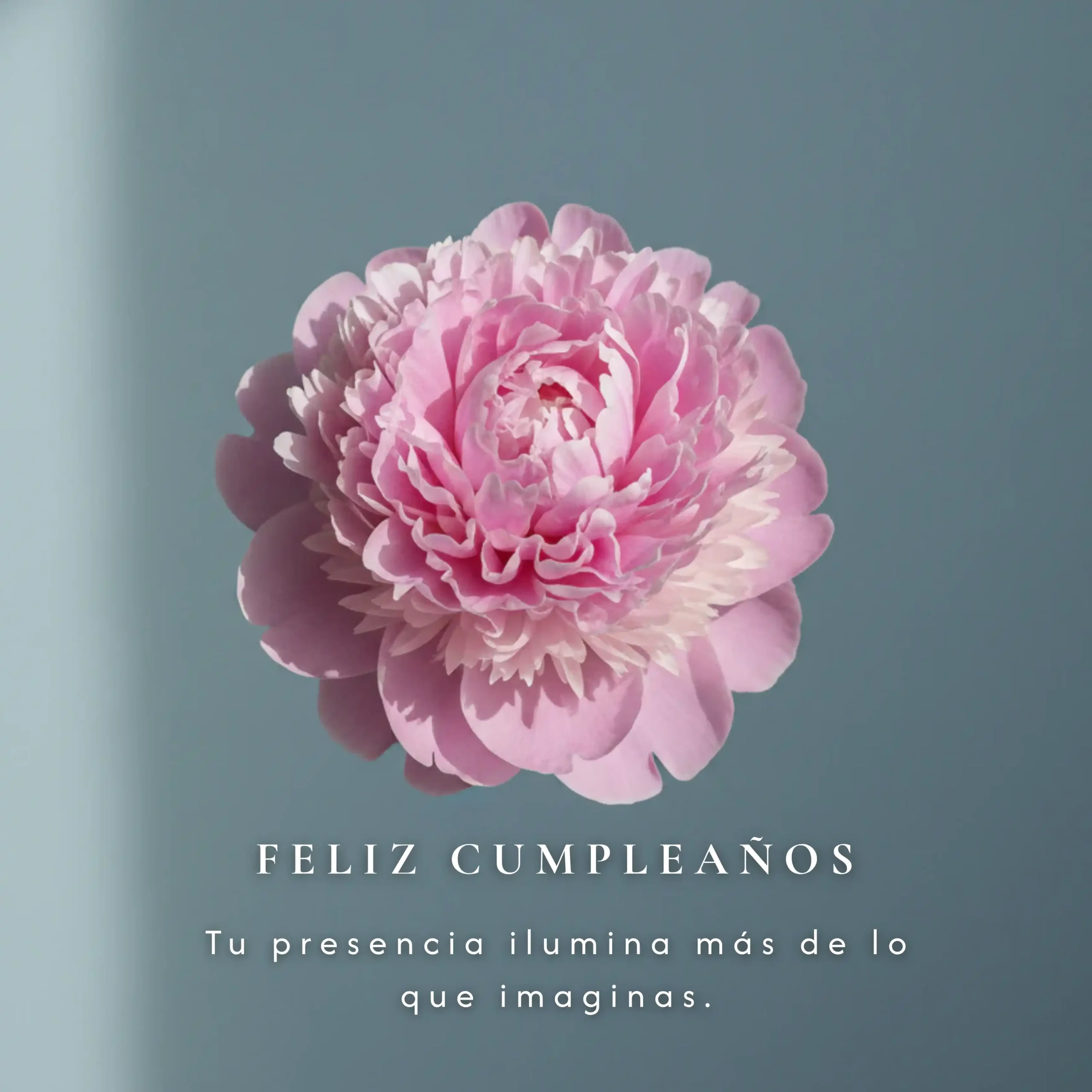 Imagenes de feliz cumpleanos con flores (5)