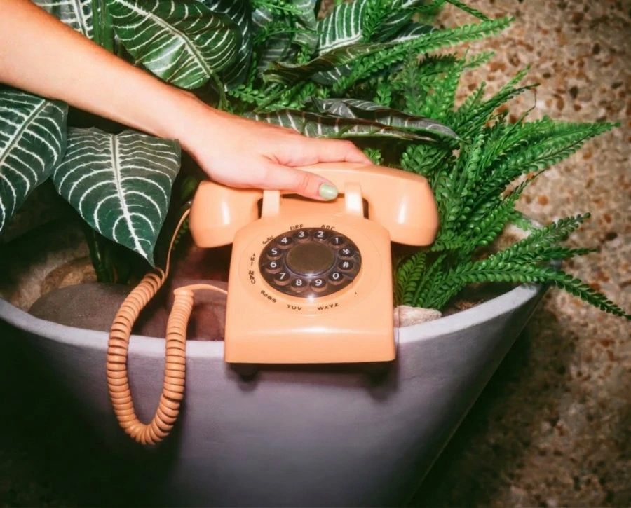 Peach Color Meaning | Connotations & Color Code