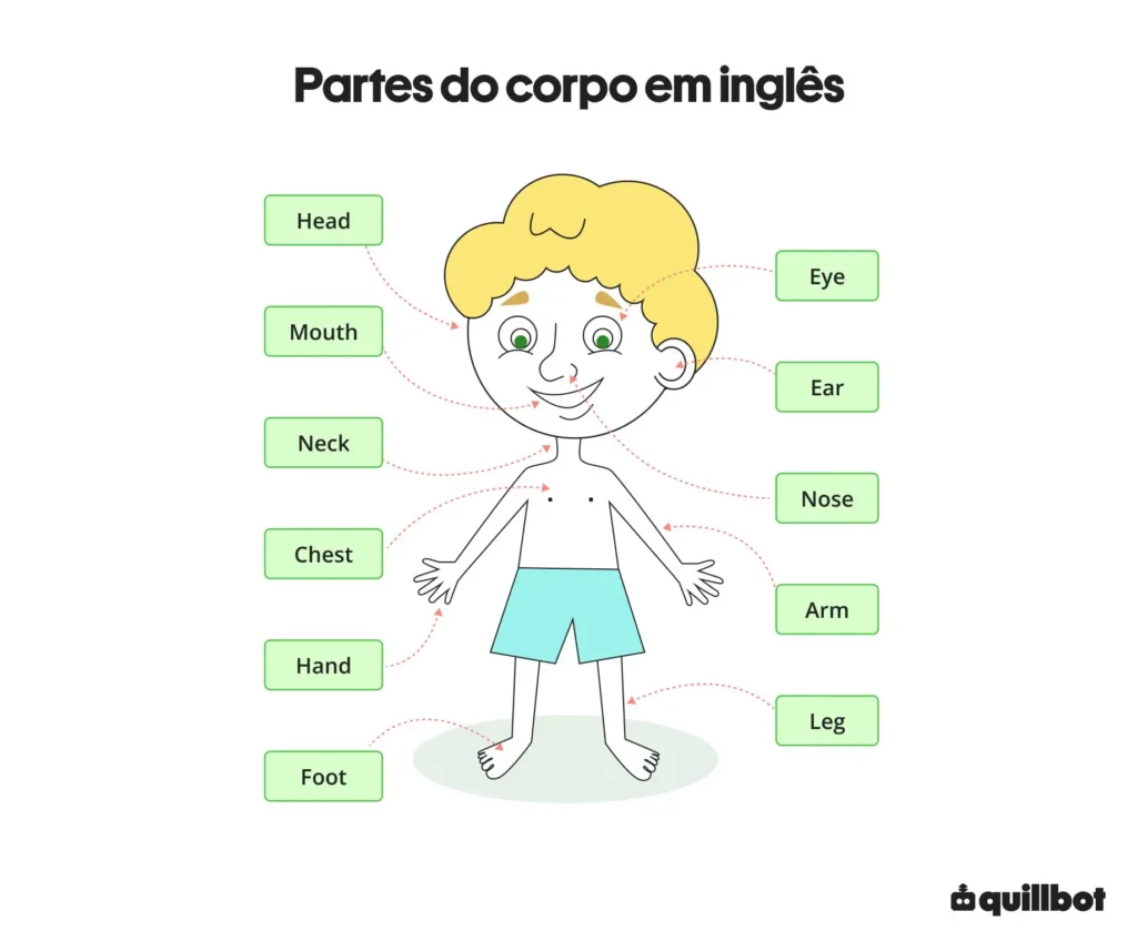 Nomes das partes do corpo em inglês